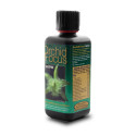 Engrais Orchid Focus Grow 300ml