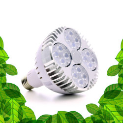SpectraBULB X30 - Ampoule horticole blanche pour plantes vertes