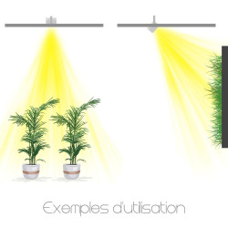 GVL SPOT 40W encastrable V2017 - Eclairage encastrable plafond pour l'éclairage de plantes