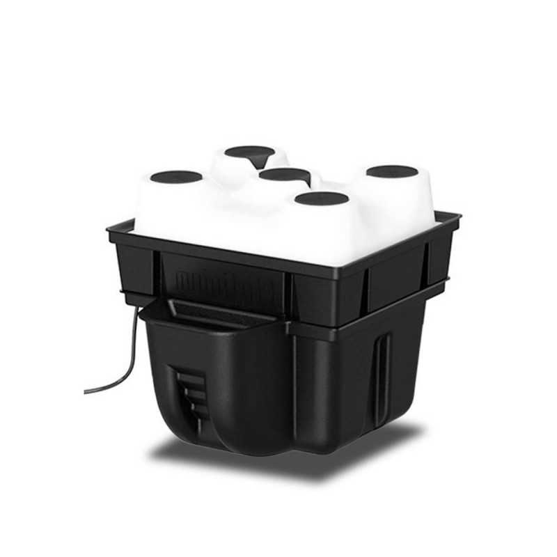 Système Aéroponique pour box 40cm x 40cm - Cultivez 5 plantes en aéroponie