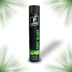 Spray menthe pour neutraliser les odeurs - 750ml