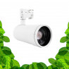 GVL - Spot 30W Focus - Éclairages Hoticoles LEDs sur rail faisceaux variables