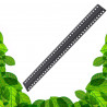 GVL - Barre LED sur Rail 60W - Éclairage Horticole LED pour murs végétaux