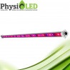 EfficiLED - 75W - Barre horticole LED de croissance