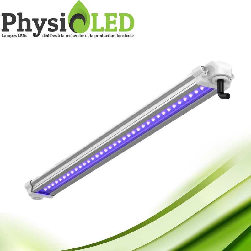 X-PURPLE LED - 30W - Eclairage Hortciole UV