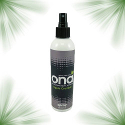Spray ONA Apple Crumble - 250mL