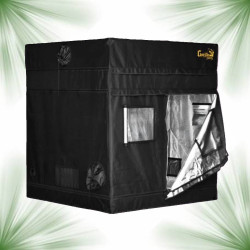 Box de culture - Gorilla Shorty Indoor - 150x150x150/170cm