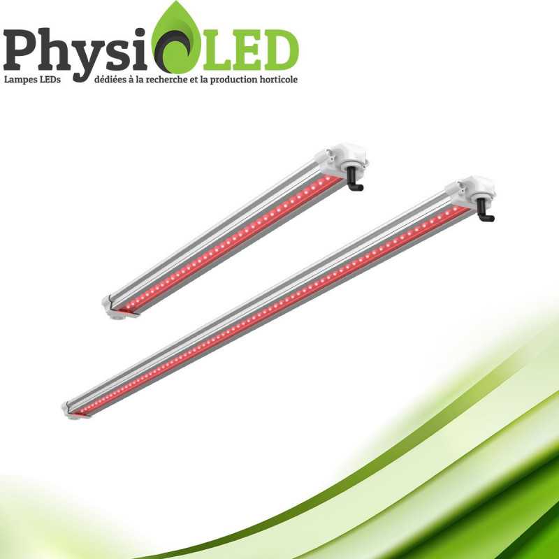 X-Red Led - 30W - Eclairage Horticole Rouge 730nl