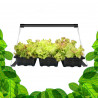GreenVisuaLine - Barre Led Horticole pour plantes d'intérieur