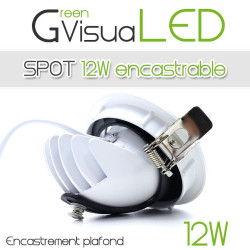 Spot encastrable 12W - LED CREE - 360° pour l'éclairage de tableaux et murs végétaux