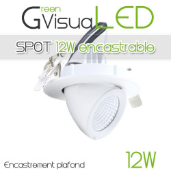 Spot encastrable 12W - LED CREE - 360° pour l'éclairage de tableaux et murs végétaux