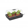 Serre Thermo-Chauffante Stewart - 38 x 24 x 19.5cm  - 2