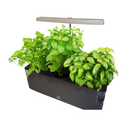 Éclairage LED à planter pour pot - 10W - Version Longue
