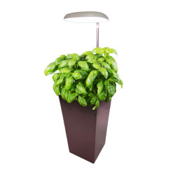 Éclairage LED à planter pour pot - 10W - Version Courte