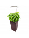 Éclairage LED à planter pour pot - 10W - Version Courte
