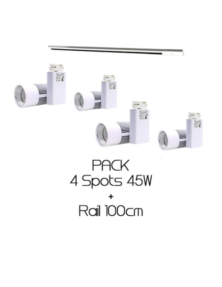 Pack Plantes ou mur végétal 4m² - 4x 45W sur rail 100cm