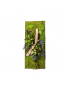 Cadre Végétal Stabilisé - Rectangle Taille L | FloraLED