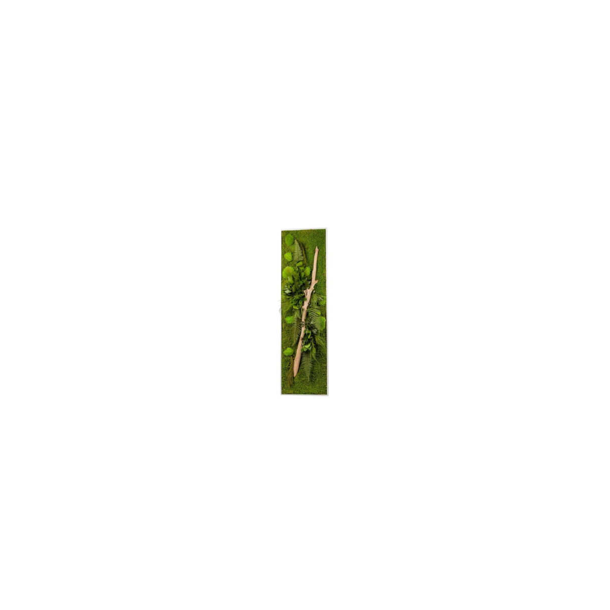 Cadre Végétal Stabilisé - Rectangle Taille XL | FloraLED