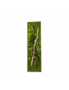 Cadre Végétal Stabilisé - Rectangle Taille XL | FloraLED