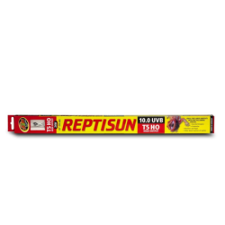 Néon Reptisun UVB HO 10%