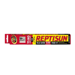 Néon Reptisun UVB HO 10%