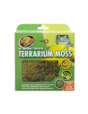 Mousse pour Terrarium - Différentes tailles