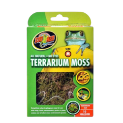 Mousse pour Terrarium - Différentes tailles
