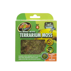 Mousse pour Terrarium - Différentes tailles