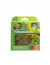 Mousse pour Terrarium - Différentes tailles