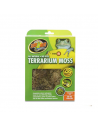 Mousse pour Terrarium - Différentes tailles