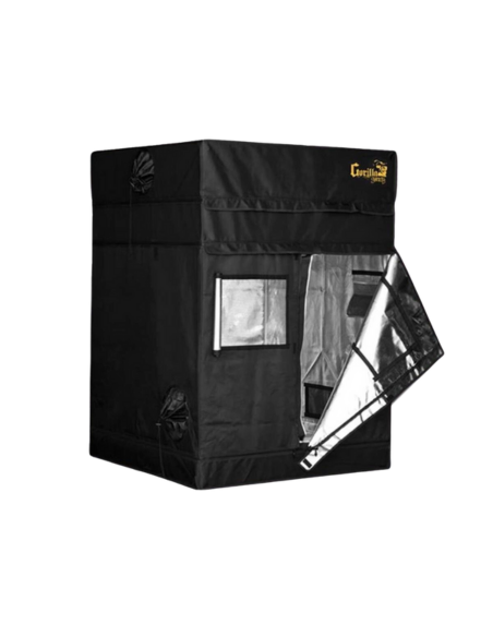 Box de culture - Gorilla Shorty Indoor - 120x120x150/170cm