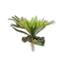 STAGHORN FERN 24CM synthétique