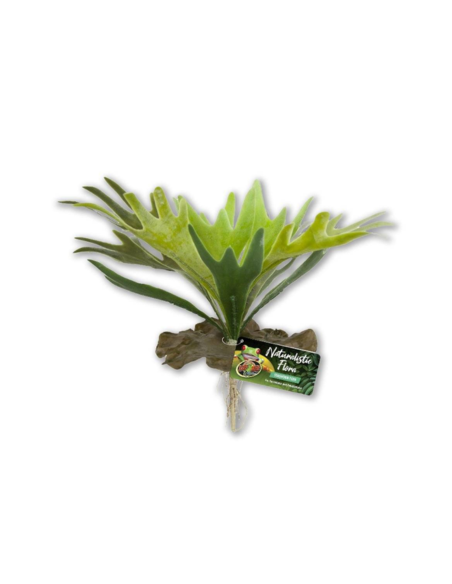 STAGHORN FERN 24CM synthétique