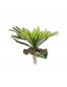 STAGHORN FERN 24CM synthétique