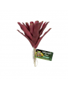 Bromeliad synthétique | FloraLED