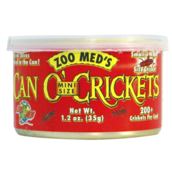 Can O’ mini crickets pour reptile