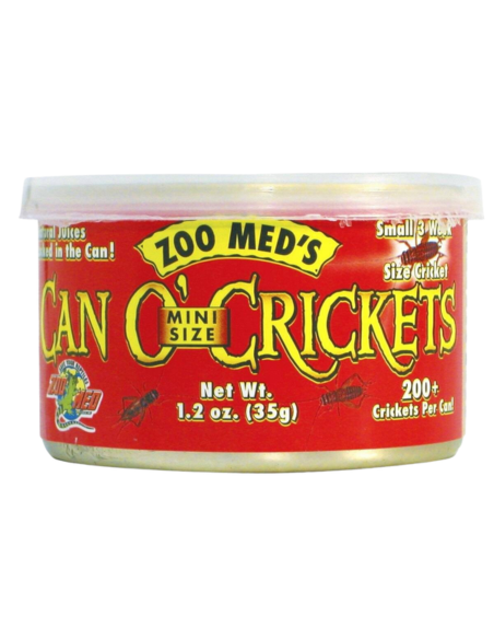Can O’ mini crickets pour reptile