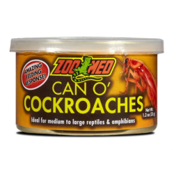 Can O’ cockoaches insectes pour reptile