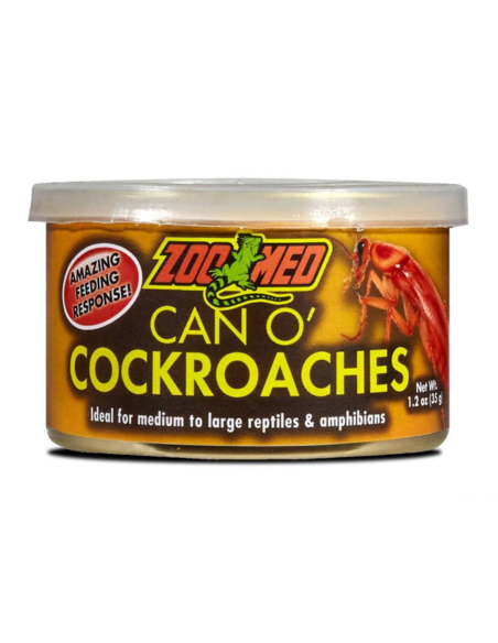 Can O’ cockoaches insectes pour reptile