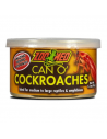 Can O’ cockoaches insectes pour reptile