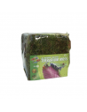 Mousse pour terrarium 5.6L