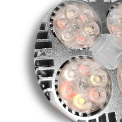 Ampoule horticole LEDs pour la culture de plantes en intérieur - Croissance et floraison - SpectraBULB X30