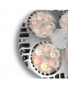 Ampoule horticole LEDs pour la culture de plantes en intérieur - Croissance et floraison - SpectraBULB X30