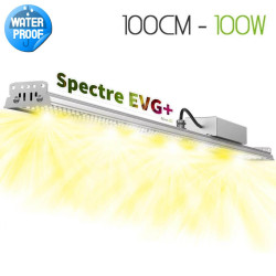 Lampe horticole pour plantes vertes