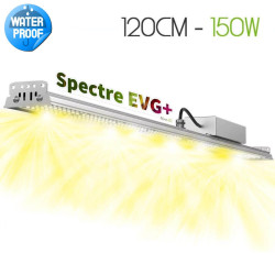 Lampe horticole pour plantes vertes
