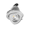SPOT 35W LED horticole pour plantes et murs végétaux encastrable
