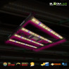 Lampe horticole SpectraWILD S320 - Avec infrarouges - LEDs Samsung croissance et floraison