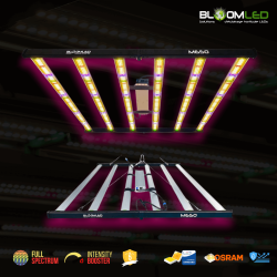 BloomLED - SpectraWILD M650 - Système horticoles LEDs Full