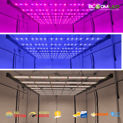 SpectraWILD L900 PRO - Lampe horticole professionnel pour la culture intensive de plantes