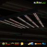 BloomLED - SpectraWILD M500 PRO - Système horticoles LEDs Full Spectrum - 500W - 100x100 - Samsung